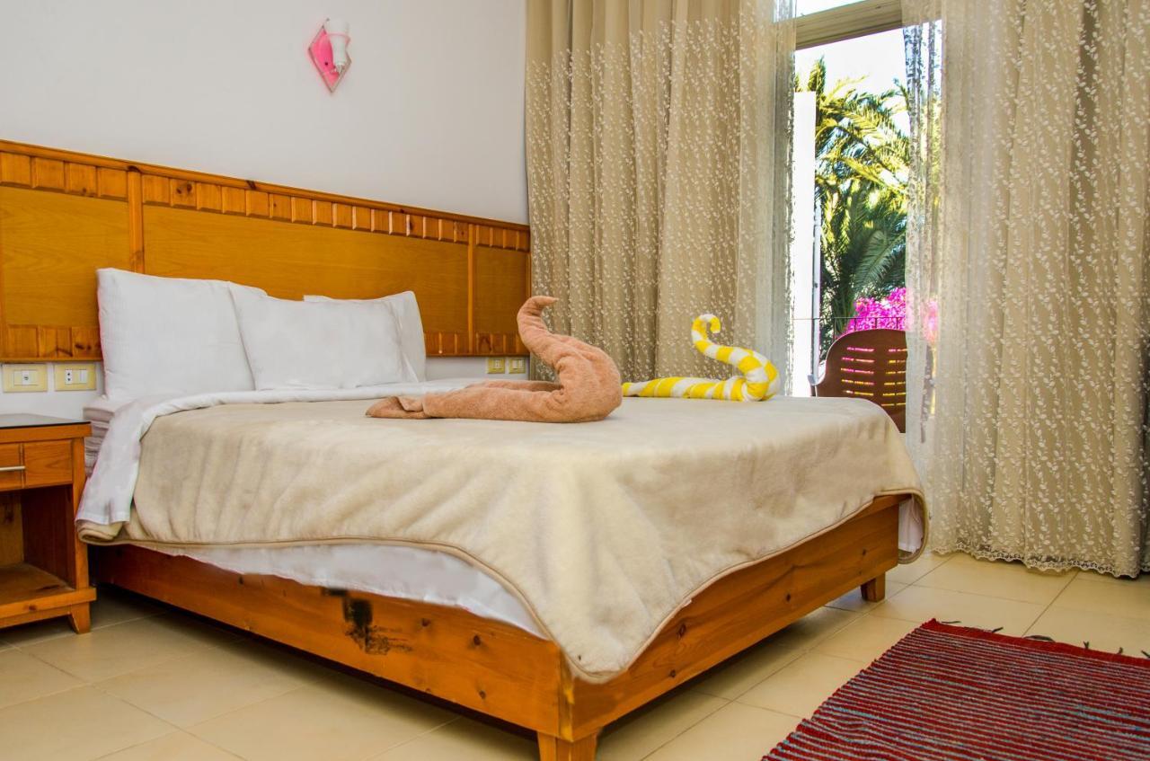 New Yalla Hotel Дахаб Экстерьер фото
