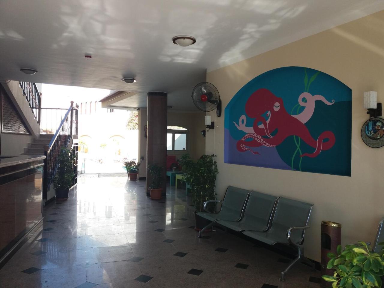 New Yalla Hotel Дахаб Экстерьер фото