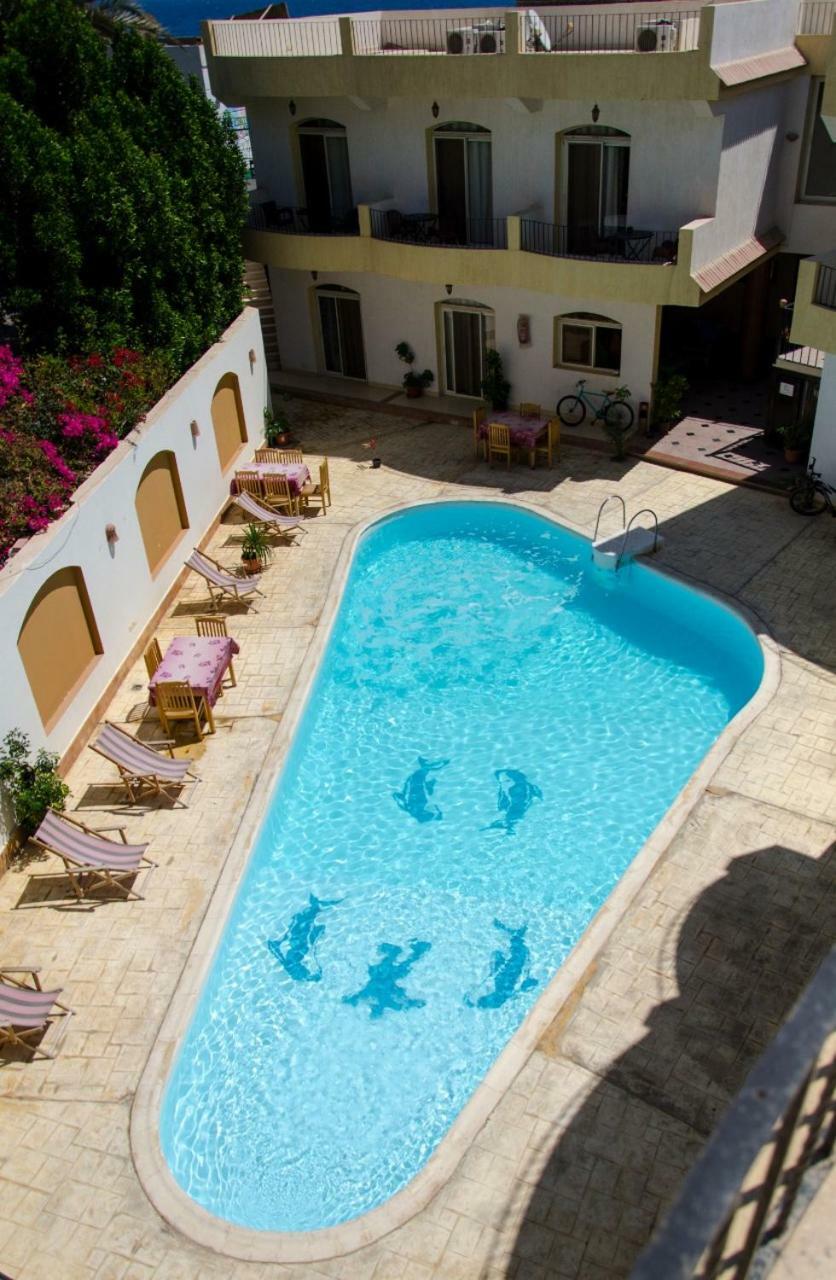 New Yalla Hotel Дахаб Экстерьер фото
